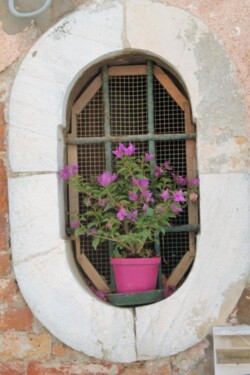 stone window with flower pot