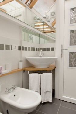 bathroom sink and bidet